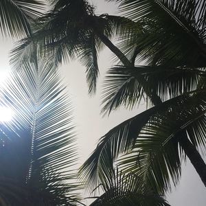 Meet your Posher, Terri